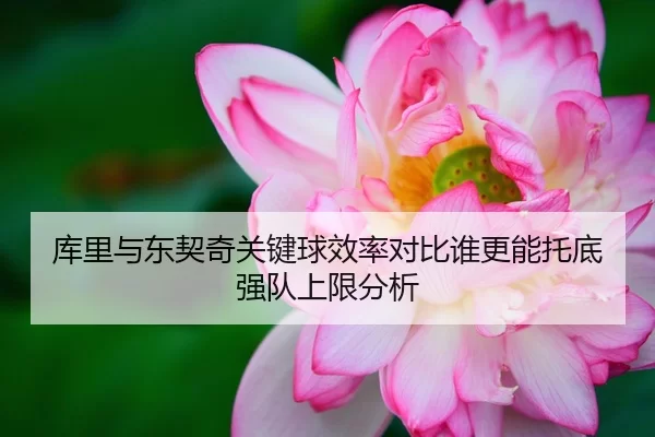 库里与东契奇关键球效率对比谁更能托底强队上限分析