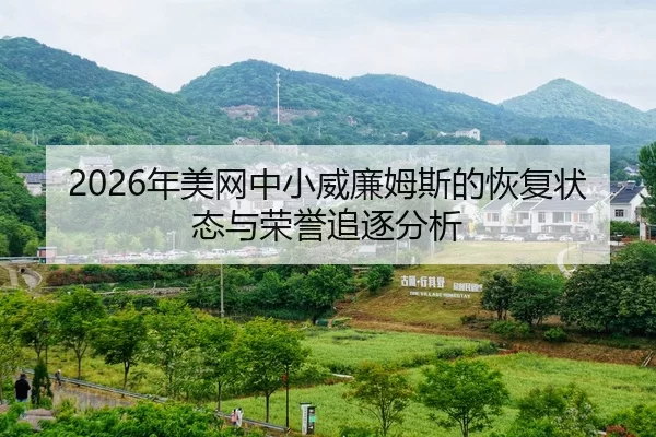 nian-mei-wang-zhong-xiao-wei-lian-mu-si-de-hui-fu-zhuang-tai-yu-rong-yu-zhui-zhu-fen-xi-2-596.jpg