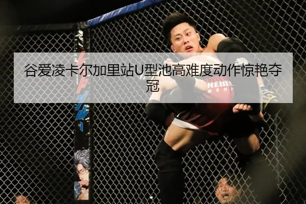 gu-ai-ling-ka-er-jia-li-zhan-xing-chi-gao-nan-du-dong-zuo-jing-yan-duo-guan-2-662.jpg