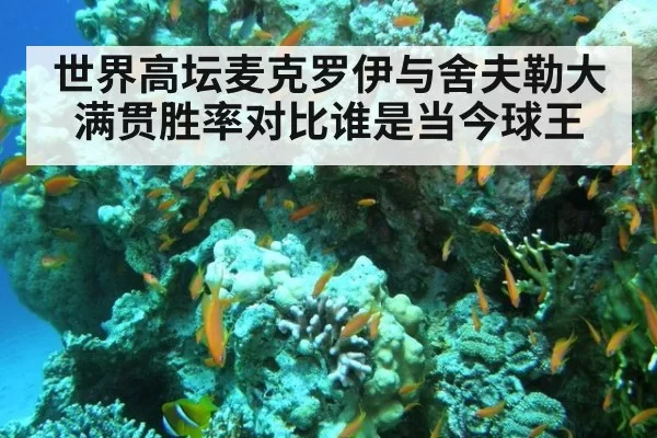 世界高坛麦克罗伊与舍夫勒大满贯胜率对比谁是当今球王
